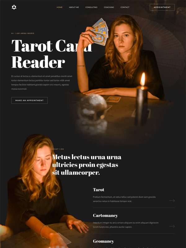 ID：691557  astra主题  Tarot Card Reader塔罗牌读卡器