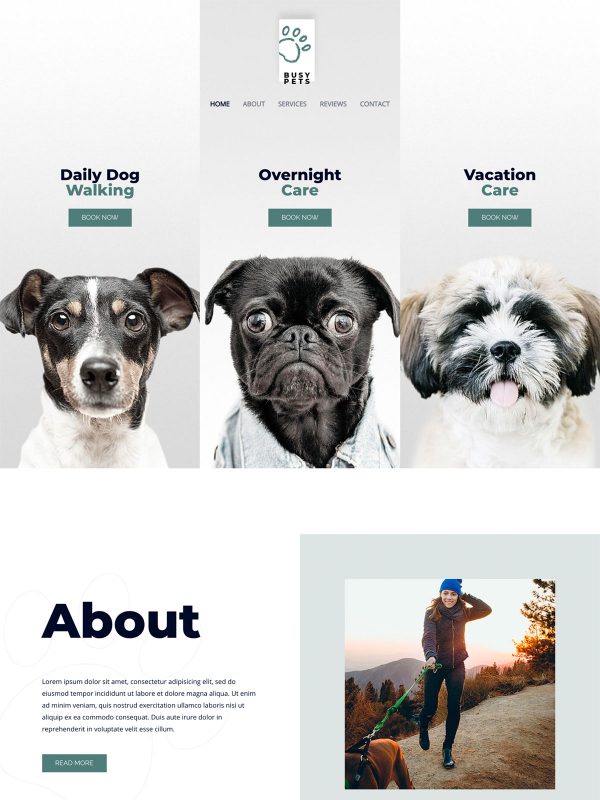 ID：691552  astra主题  Pet Care 宠物护理