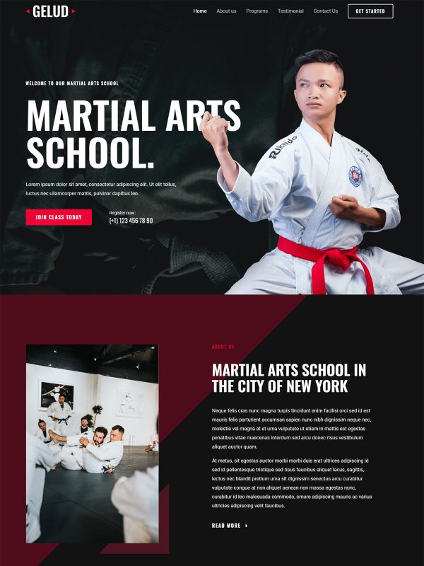 ID：691568  astra主题  Martial Arts School武馆