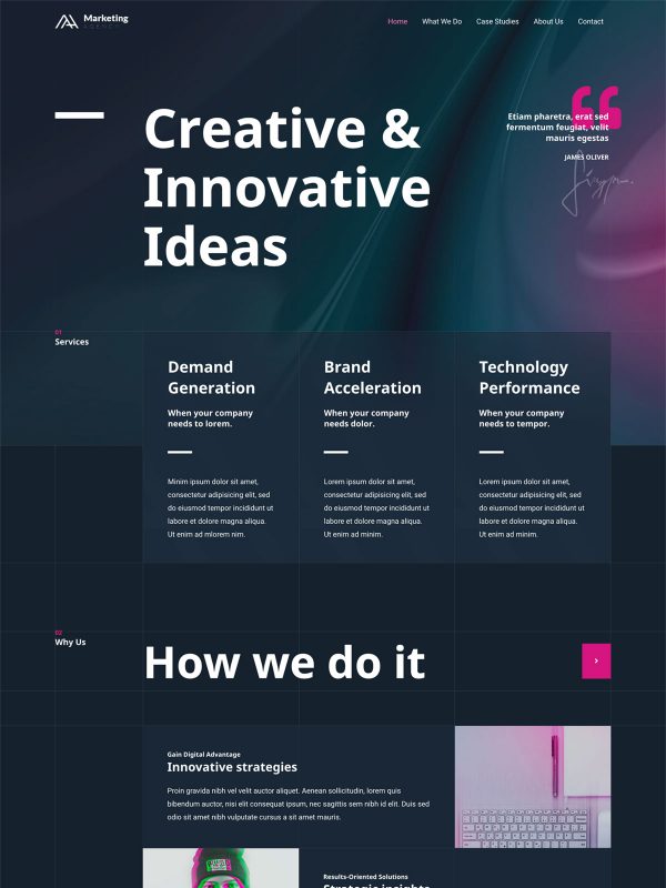 ID：691581  astra主题  Marketing Agency营销代理
