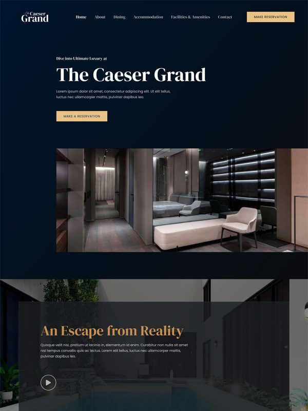 ID：691595  astra主题  Luxury Hotel豪华酒店
