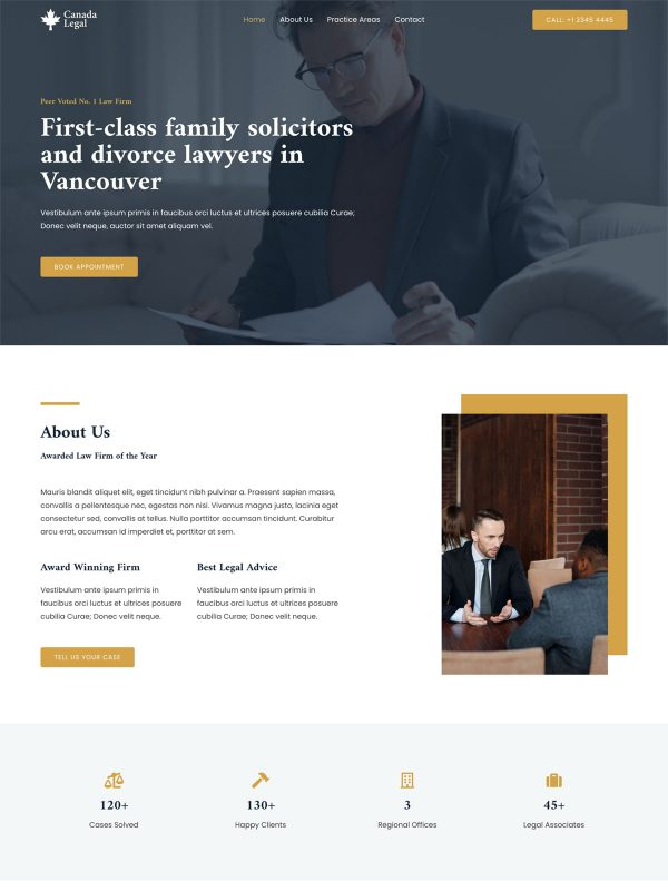 ID：691598  astra主题  Family Lawyer 家庭律师