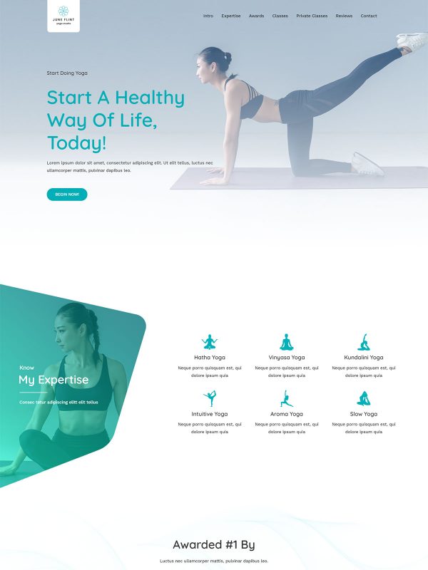 ID：691655  astra主题  Yoga Studio瑜伽馆
