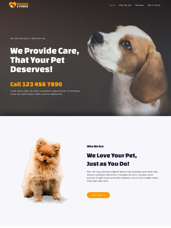 ID：691651  astra主题  Pet ServicesPet Services