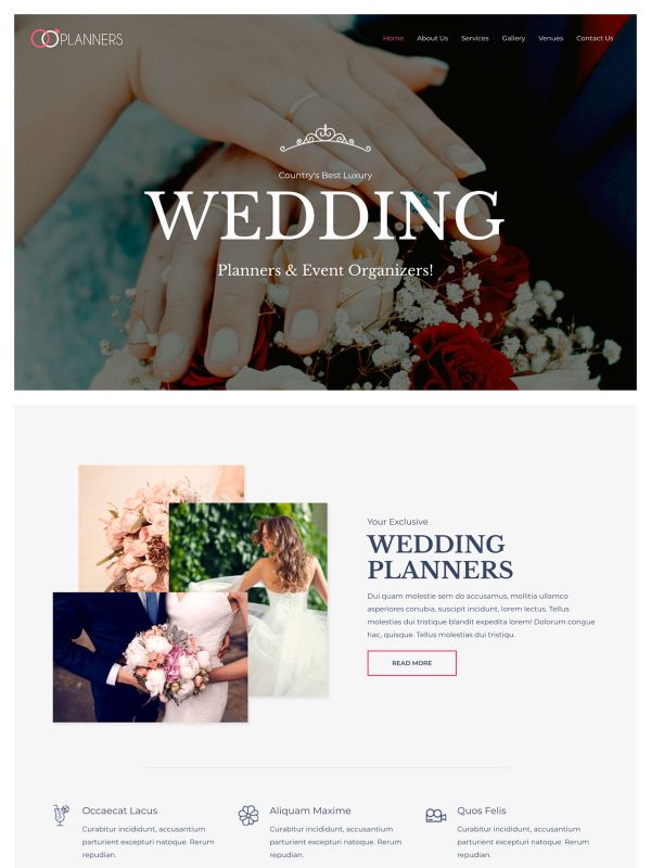 ID：691696  astra主题  Wedding PlannerWedding Planner