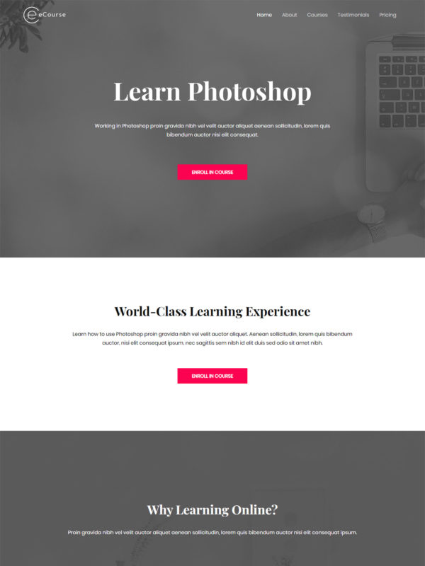 ID：691697  astra主题  eCourse – Learn Photoshop电子课程–学习Photoshop