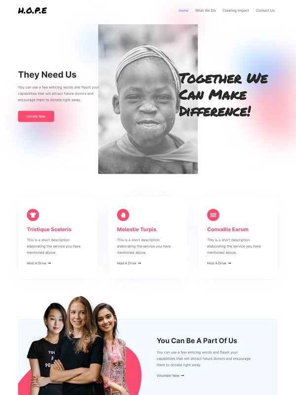 ID：691719  astra主题  Charity慈善事业